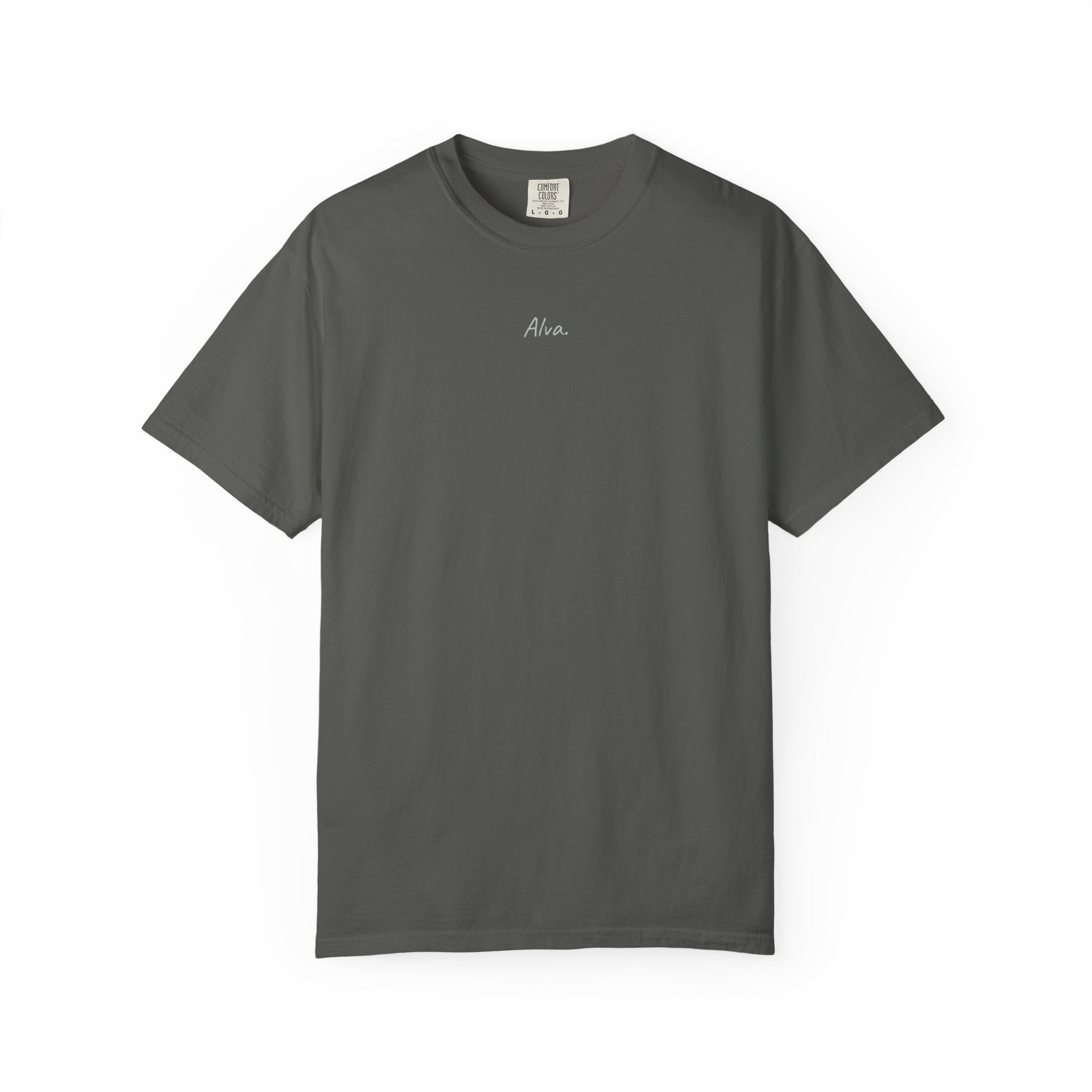 Mountain Vinyl Record T-Shirt — Retro Nature Graphic Tee